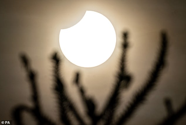 Eine Sonnenfinsternis tritt tagsüber bei Neumond auf – wenn der Mond zwischen Erde und Sonne steht – und blockiert einen Teil oder das gesamte Licht