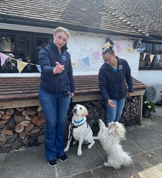 Lisa Porter, 36, brought along Elsie, her two-year-old yellow Labrador (pictured together left) as part of the guard of honour. Elsie, who Lisa adopted as a rescue dog from Battersea as a puppy, was wearing a blue coat, carrying Battersea's emblem