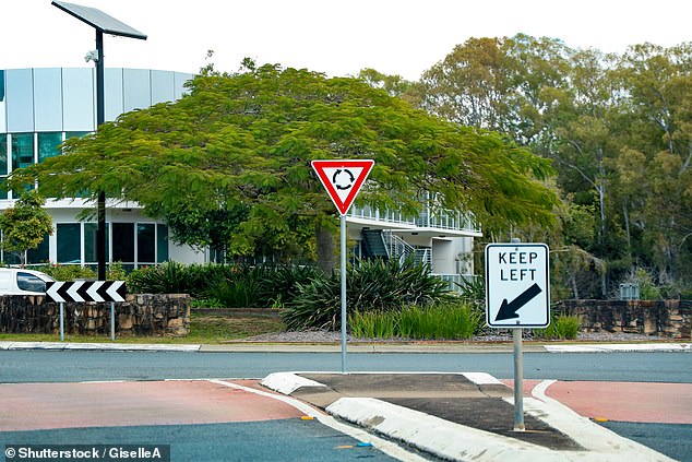 Frau Shuman fügte der Liste hinzu, dass es in Australien „so viele“ Kreisverkehre gab, „dass es verrückt ist“.