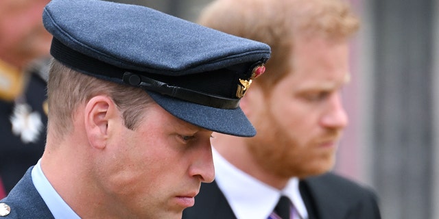 Eine Nahaufnahme von Prinz William in Uniform und Prinz Harry im Anzug mit Blick nach unten