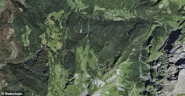 Satellitenbilder zeigen, wie die Alpen bei steigenden Temperaturen grüner werden