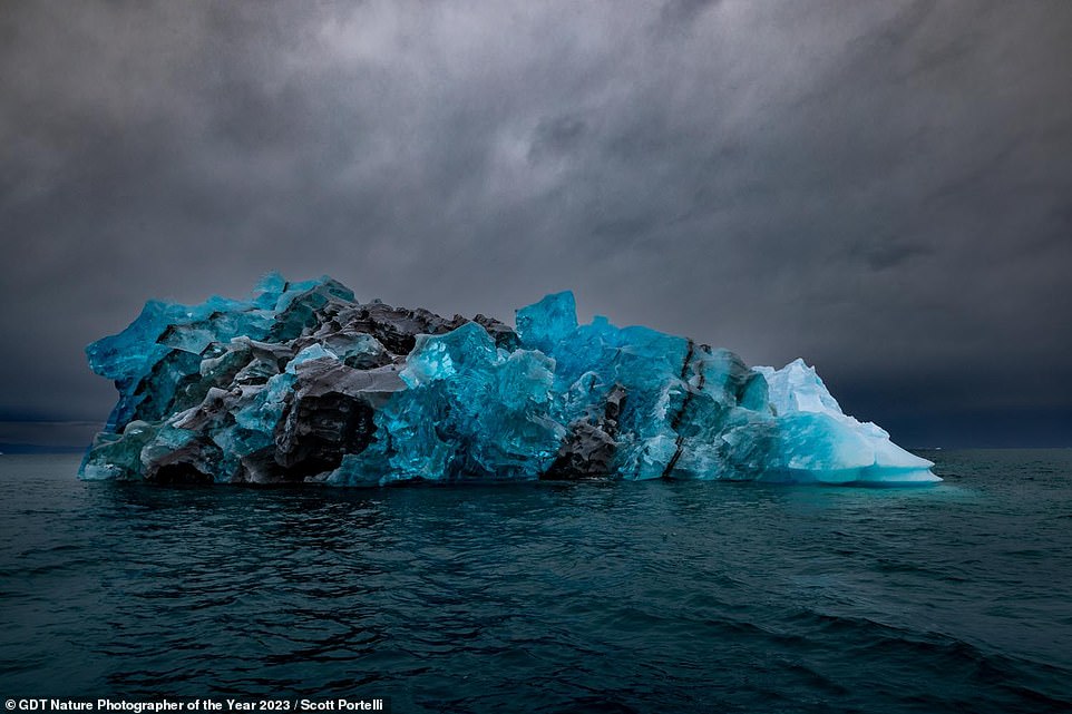 Dieses faszinierende Bild eines treibenden Eisbergs in Grönland wurde vom Fotografen Scott Portelli aufgenommen.  Er stellt fest, dass „ineinander verschlungene Eisschichten lebendige schwarze, blaue und durchscheinende Ebenen“ innerhalb des Eisbergs offenbaren.  Die Aufnahme belegt den achten Platz in der Kategorie „Landschaften“.