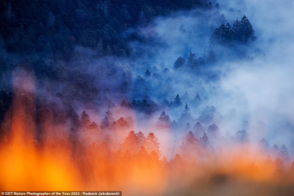 Diese atemberaubende Aufnahme wurde im Herbst aufgenommen und zeigt Nebel, der während des Sonnenaufgangs über die Vogesen in Frankreich herabsteigt.  Das vom Fotografen Radomir Jakubowski aufgenommene Bild mit dem Titel „Autumn Fog Inferno“ belegt den zweiten Platz in der Kategorie „Landschaften“.