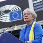 Die Abgeordneten fordern, die Bemühungen der EU gegen ausländische Einmischung zu verstärken