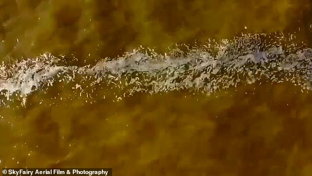 Nahaufnahmen der Nordsee in der Nähe von Herne Bay zeigten eine weiße, schaumartige Substanz, scheinbar eine Art Entladung, die auf dem braun gefärbten Wasser schwamm