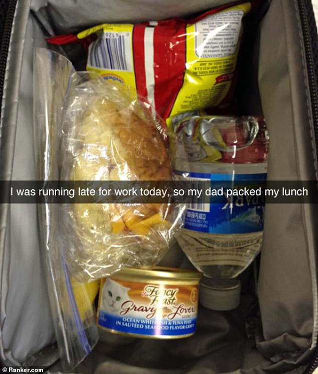 Diese Person scherzte über ihre seltsamen Lunchbox-Angebote – die eine Dose mit köstlichem Thunfisch-Katzenfutter enthielten