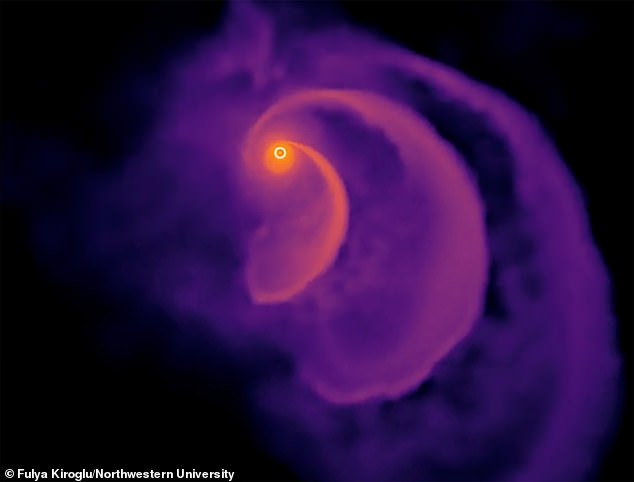 Analyse: Forscher der Northwestern University erstellten 3D-Computersimulationen dessen, was passieren würde, wenn Sterne von der Größe unserer Sonne in Reichweite sogenannter Schwarzer Löcher mittlerer Masse geschleudert würden.  Dieses Simulationsbild zeigt einen eigensinnigen Stern, der ein Schwarzes Loch umkreist