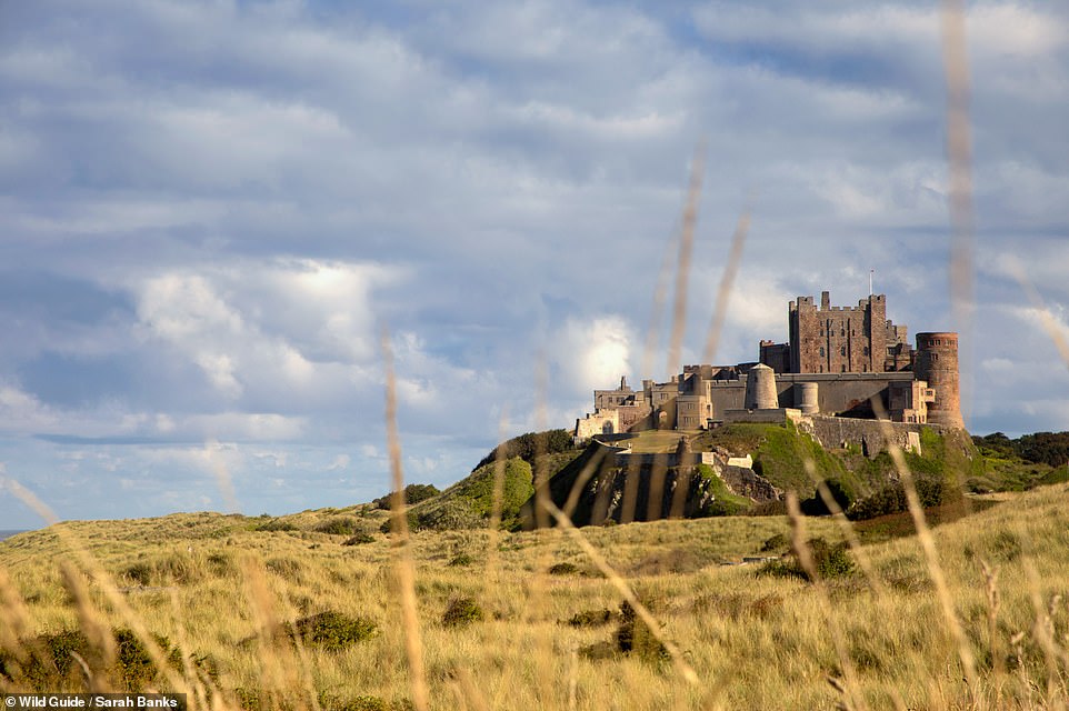 BAMBURGH CASTLE, NORTHUMBERLAND: 'Perched above an outcrop of the Great Whin Sill, this superbly situated 11th-century coastal fortress has panoramic views of Holy Island, the Farne Islands and Bamburgh village,' the book reveals. It continues: 'Once the capital of the 7th-century kings of Northumbria, the castle site has been occupied since at least the last Iron Age.' Coordinates: 55.6089, -1.7099