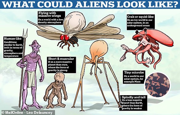Rätsel: Wenn Aliens existieren, wie könnten sie tatsächlich aussehen?  MailOnline hat eine Reihe von Experten gefragt und dies waren einige ihrer Antworten