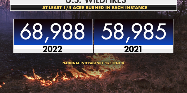 Im vergangenen Jahr gab es mehr Waldbrände als 2021