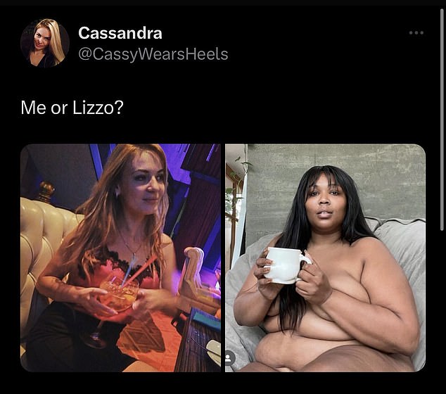 Troll: Aber als es diese Woche wieder die Runde auf Twitter machte, twitterte ein Fan ein Bild von sich selbst neben Lizzos und versuchte, sie zu beschämen, indem er fragte: „Ich oder Lizzo?“.