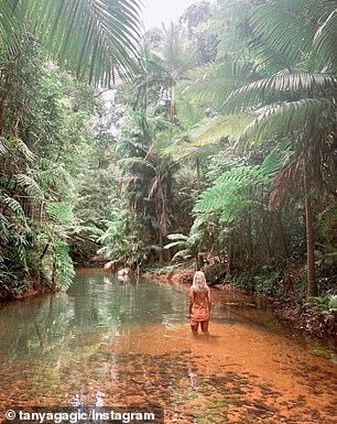 Der spektakuläre Pfad führt die Besucher entlang des plätschernden Baches und durch den üppigen Wald aus Farnen und hoch aufragenden Palmen, die ein schattiges Blätterdach bilden