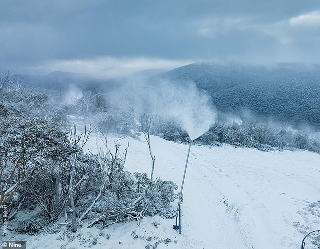 Alpenregionen, darunter Falls Creek, Mount Hotham und Thredbo, sahen Schnee