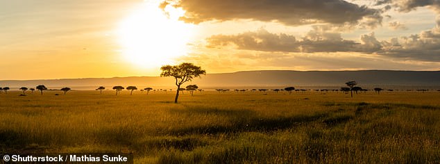 Die Masai Mara ist das Afrika, an das Sie wahrscheinlich denken, wenn Sie an Afrika denken