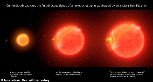 Wie es passiert: Diese Grafik zeigt den Prozess eines sonnenähnlichen Sterns, der von einem Planeten, der ihn umkreist (links), zu einer allmählichen Expansion führt, wenn ihm der Treibstoff ausgeht und der Planet hineingezogen wird