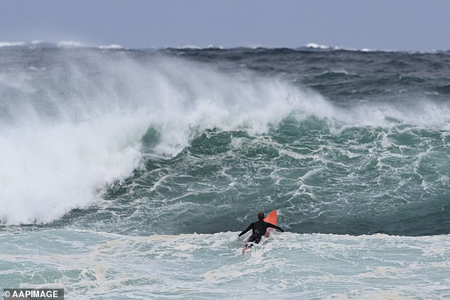 Einige Surfer (im Bild bei Bondi) trotzten massiven Wellen von bis zu sechs Metern