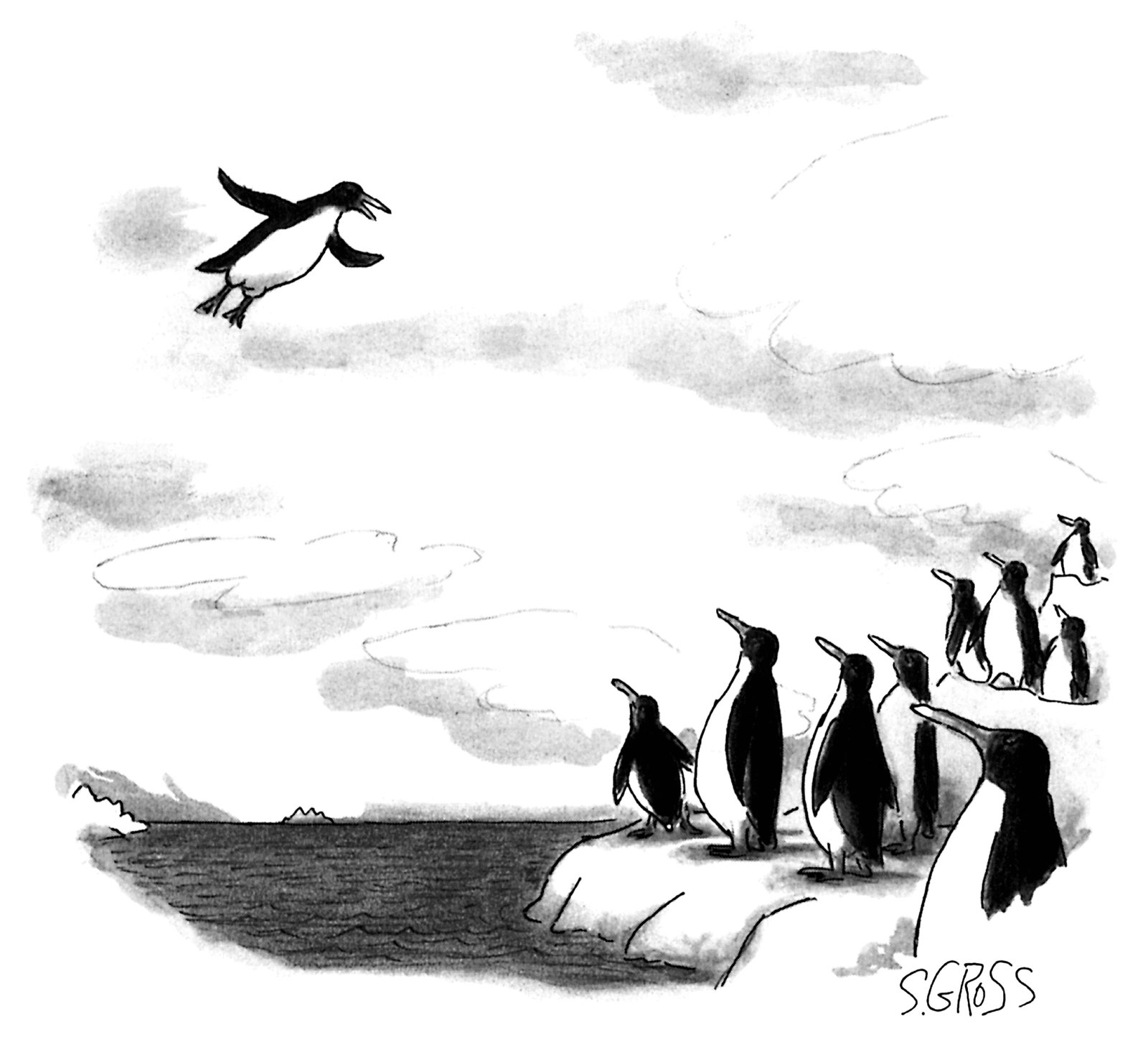 Eine Gruppe Pinguine blickt zu einem fliegenden Pinguin auf.