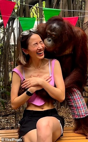 Panisara Rikulsurakan (im Bild) schien die lustige Seite zu sehen, obwohl Tierschutzgruppen behaupteten, der Orang-Utan werde „ausgenutzt“.