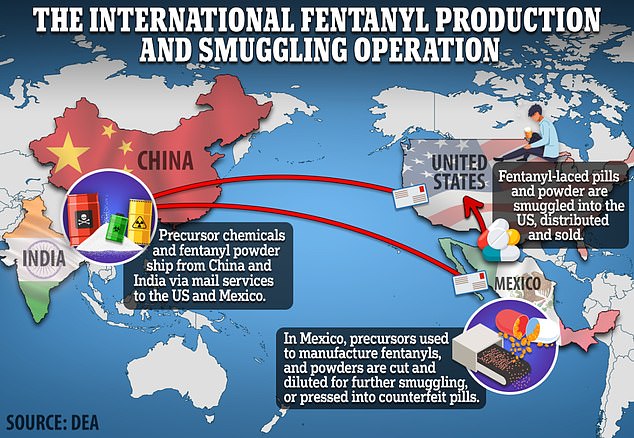 Fentanyl wurde ursprünglich in Indien und China hergestellt und an Empfänger in ganz Nordamerika verschickt.  Seitdem sind in Mexiko provisorische Labore entstanden, um die Vorläuferchemikalien aus Asien zu erhalten, sie zu mischen oder zu Pillen zu pressen und sie in die USA zu schmuggeln