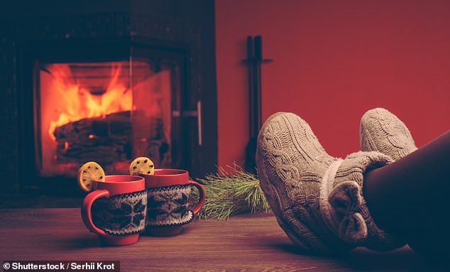 It's estimated that 38 per cent of the UK's PM2.5 particles come from wood or coal-burning stoves
