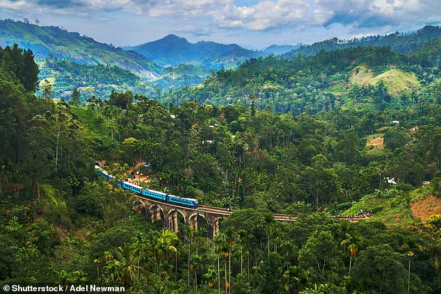 The train from Colombo to Sri Lanka's tea country snakes through hills with plantations on either side