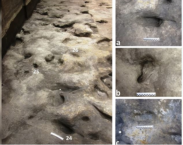 In Deutschland wurden perfekt erhaltene Abdrücke einer kleinen Familie von „Heidelbergern“ entdeckt, einer längst ausgestorbenen Menschenart.