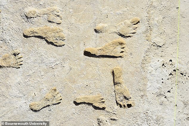 Im Jahr 2021 entdeckten Wissenschaftler eine Reihe 23.000 Jahre alter menschlicher Fußabdrücke, die in New Mexico als früheste Beweise menschlicher Aktivität auf dem amerikanischen Kontinent entdeckt wurden, 10.000 Jahre früher als bisher angenommen