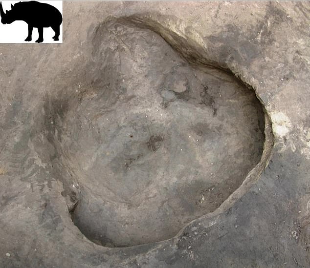 An der Stätte wurden auch Abdrücke eines alten Nashorns gefunden