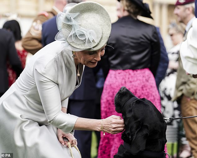 Während der Veranstaltung wurde Sophie dabei gesehen, wie sie liebevoll einen Blindenhund streichelte.  Seit Juli 2017 ist der König Schirmherr des Blindenführhundeverbandes
