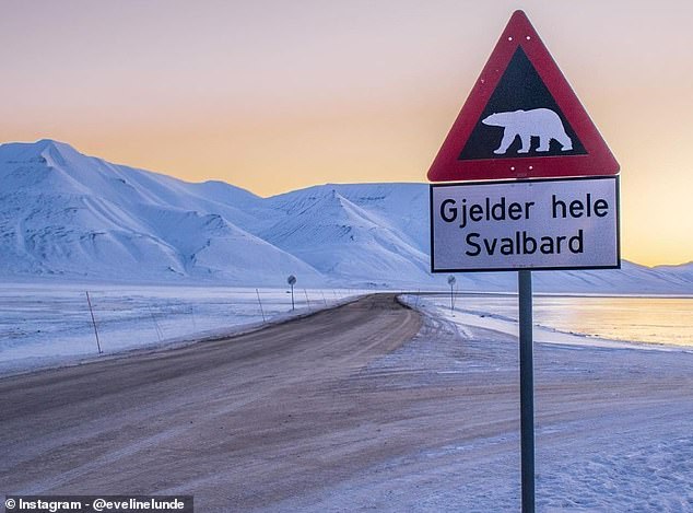 Da Eisbären in Norwegen geschützt sind und es illegal ist, sie zu töten, weist Eveline darauf hin, dass man nur „in einer lebensbedrohlichen Situation schießen“ darf.