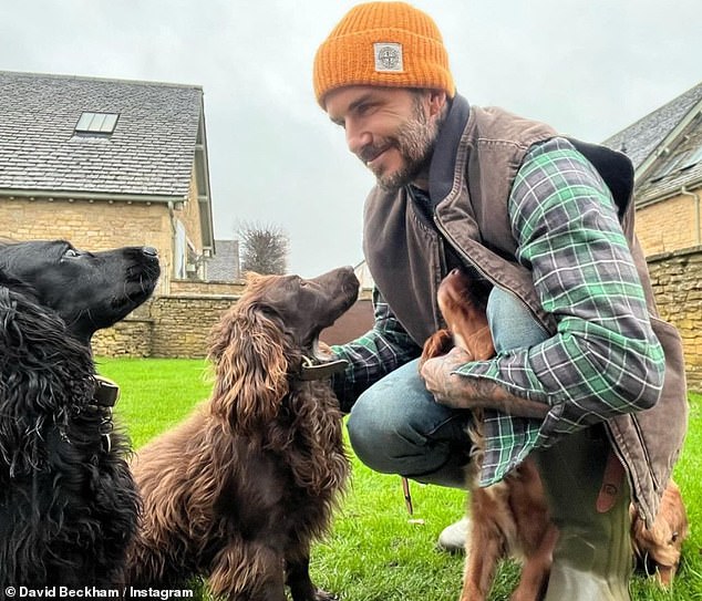 David Beckham, 46, gab den Fans einen Einblick in sein Privatleben, als er auf Instagram ein Foto von sich mit seinen geliebten Hunden teilte