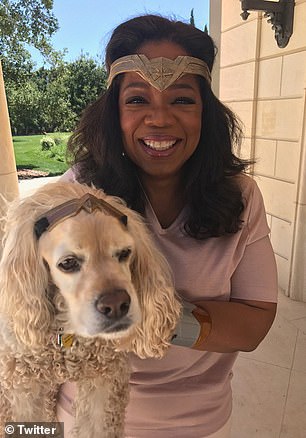 Oprah Winfrey besitzt einen Cocker Spaniel namens Sadie und zwei Spring Spaniels namens Lauren und Sunny