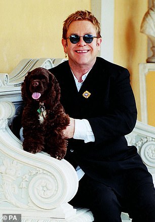 Elton John im Bild mit seinem geliebten englischen Cocker Spaniel Arthur, der sein „Trauzeuge“ war