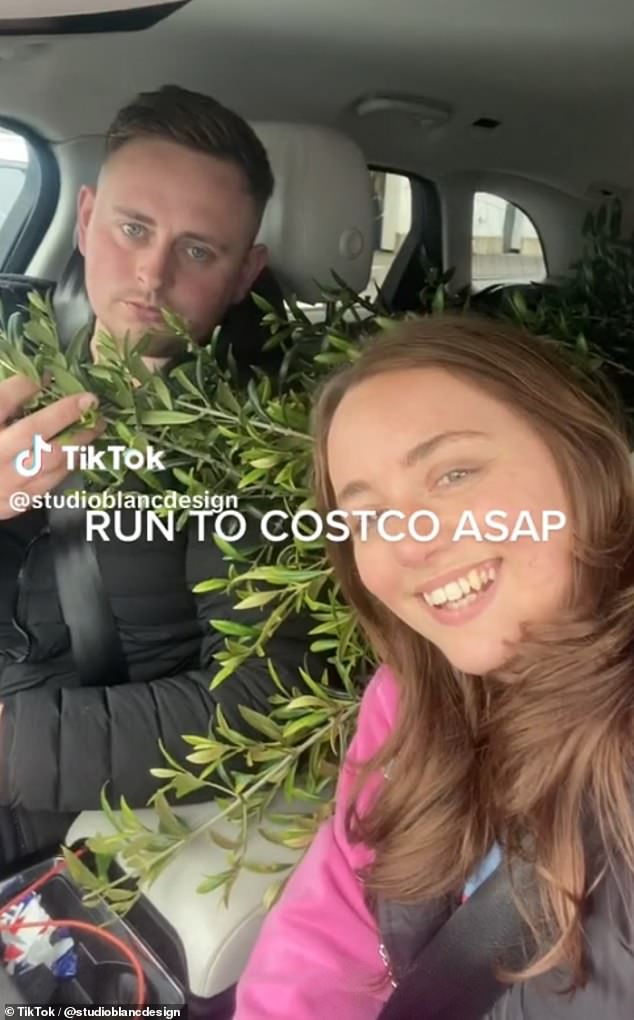 Katie Willis und Ryan Allan, die aus Durham kommen, haben das Video gepostet und es mit der Überschrift versehen: „Olivenbäume im Wert von 90 £ zum Schnäppchenpreis!!!“  Jetzt im @Costco Wholesale.  Laufen, nicht gehen!!!‘