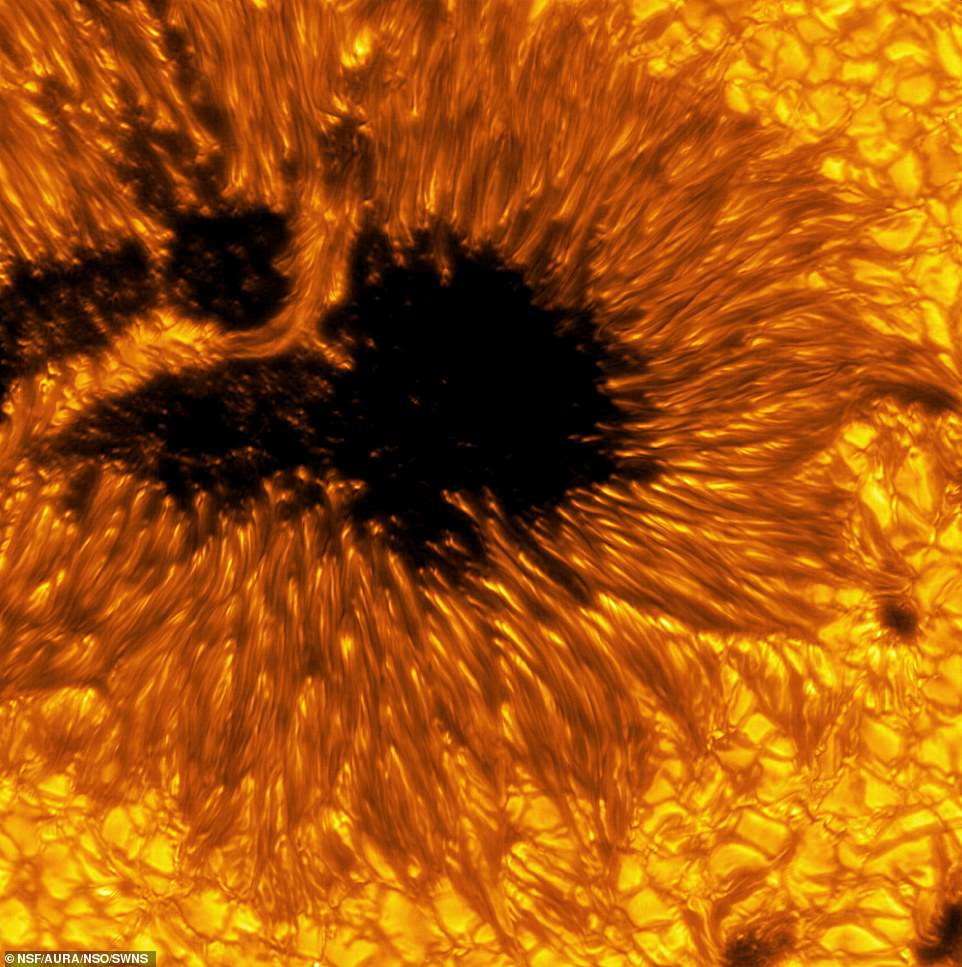 Die neuen Bilder zeigen eine Vielzahl von Sonnenflecken und ruhigen Regionen der Sonne, die mit dem Visible-Broadband Imager (VBI), einem der Instrumente der ersten Generation des Teleskops, aufgenommen wurden