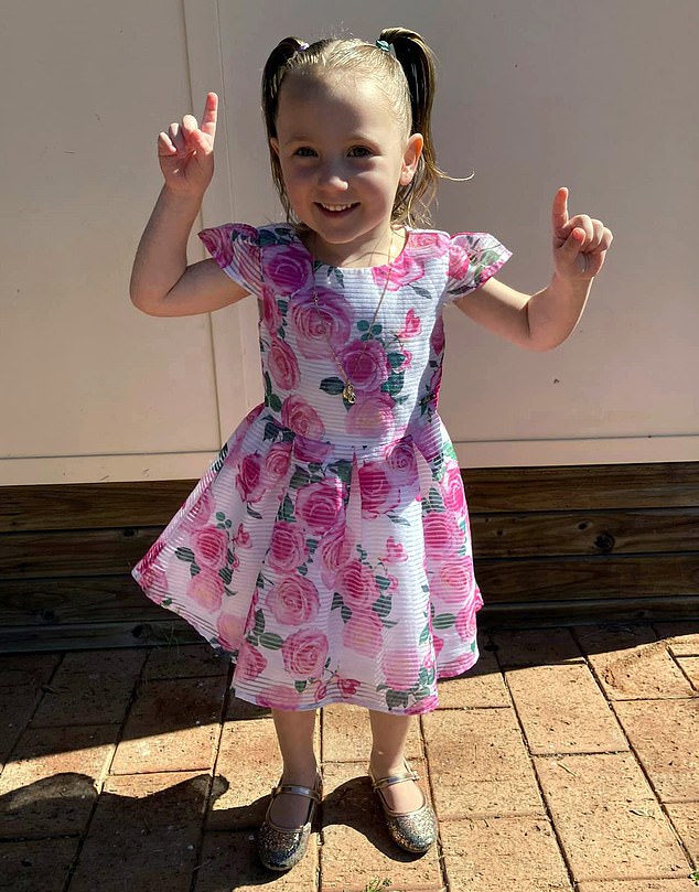 Der Entführungsfall von Ellies Tochter Cleo sorgte international für Schlagzeilen, als die Vierjährige am 16. Oktober 2020 aus einem Zelt entführt wurde, während sie mit ihrer Familie auf einem Campingplatz in der Nähe von Carnarvon, etwa 960 km nördlich von Perth, schlief
