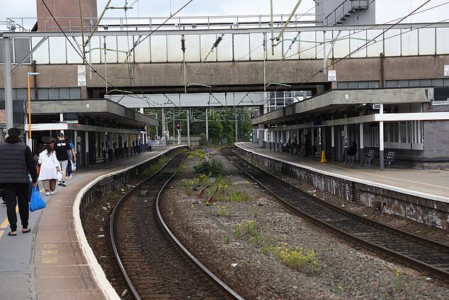 Unkraut im Vordergrund am Bahnhof Wolverhampton