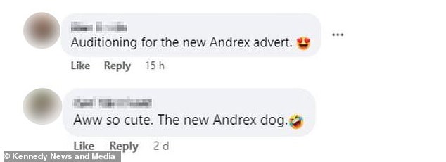 Nachdem sie den Clip online geteilt hatte, waren viele begeistert von dem entzückenden Hündchen und erklärten, sie sei wie der Andrex-Hund