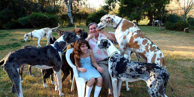 Burt Ward mit seiner Tochter draußen umgeben von Deutschen Doggen