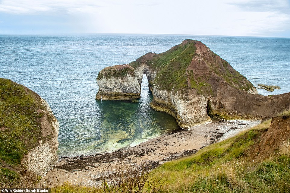 HIGH STACKS, FLAMBOROUGH, YORKSHIRE: This isolated pebble cove has a 'spectacular' sea arch known as the 'Drinking Dinosaur', the book says, adding: 'In summer, common seals sprawl out along the beach.' Co-ordinates: 54.1148, -0.0773