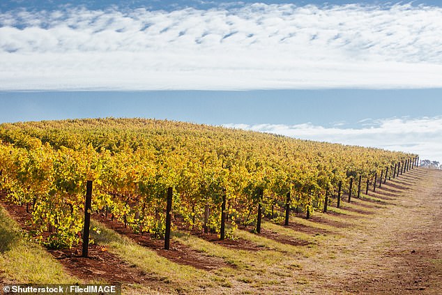 Florida hat kürzlich Mevalone zugelassen, den Pilzvernichter, der hauptsächlich im Weinanbau eingesetzt wird