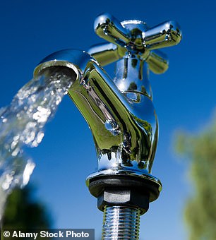Gewinne erschließen: Wasserunternehmen gelten traditionell als „Anleihevertreter“