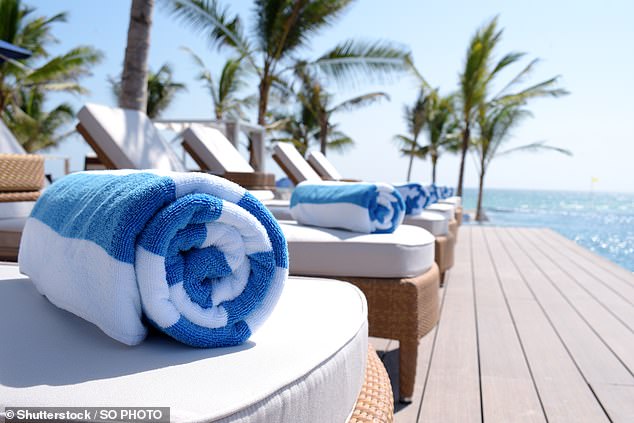 Redditorin @konijn12 gab bekannt, dass sie es unmöglich fand, freie Sonnenliegen am Strand oder am Meer zu finden, da „die meisten Plätze durch Handtücher belegt waren“ – also entfernte sie diese (Archivbild)