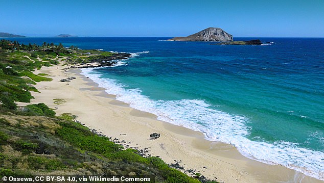 Der tatsächliche Strand, der auf der Website erscheint, ist Makapu'u Beach am östlichen Ende der hawaiianischen Insel O'ahu.  Bild mit freundlicher Genehmigung von Creative Commons