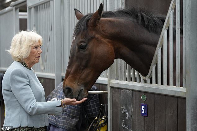 Die 75-jährige Königin strahlte, als sie durch die Ställe geführt wurde, wo sie ein Pferd aus ihrer Handfläche fütterte