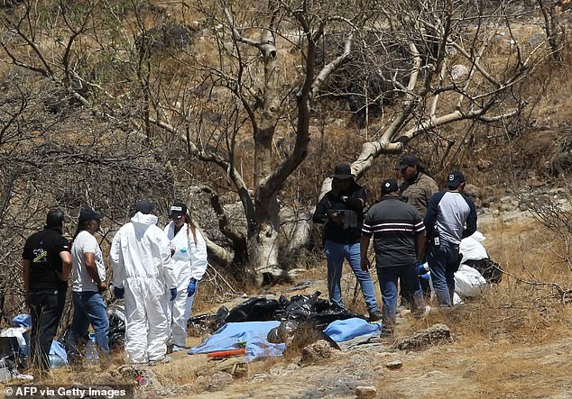 Behörden und forensische Experten in weißen Laboranzügen versammeln sich am Dienstag in Jalisco um Müllsäcke voller menschlicher Überreste
