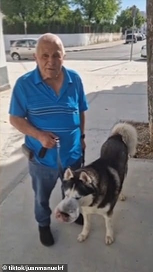 In einem letzten verzweifelten Versuch, das Leben seines Hundes zu retten, veröffentlichte Damián ein Video auf TikTok mit dem Ziel, in Spanien einen Tierarzt zu finden, der Rex behandeln könnte