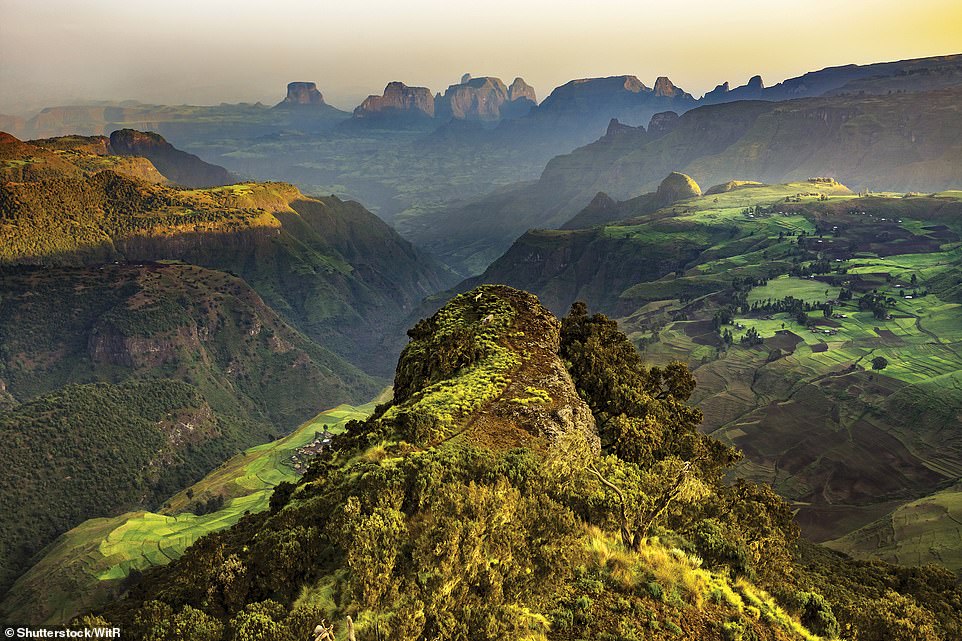 SIMIEN MOUNTAINS, AMHARA, ETHIOPIA: 'Lying in the Ethiopian Highlands, the Simien Mountains regularly receive snow on their highest peak, Ras Dashen, which at 4,550m (14,930ft) is the tallest mountain in Ethiopia,' Martin explains. 'The mountains are home to predators such as the caracal and Africa’s rarest canid, the endangered Ethiopian wolf'