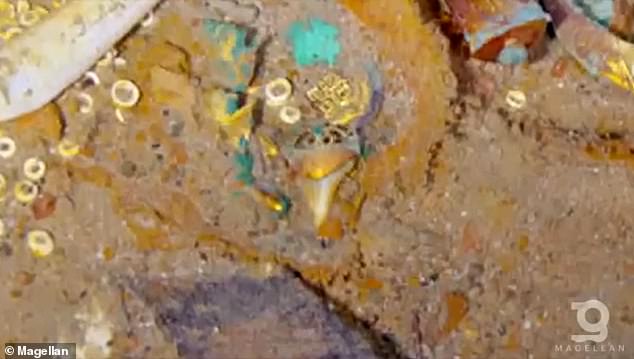 Das Tiefsee-Kartierungsunternehmen Magellan Ltd sagt, dass die Halskette aus dem Zahn eines Megalodon-Hai mit darin eingebautem Gold besteht