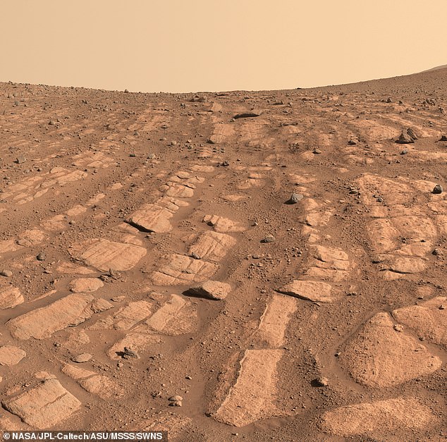 Ein Blick auf die Marsoberfläche, von der Wissenschaftler bisher dachten, sie besäße Wasser